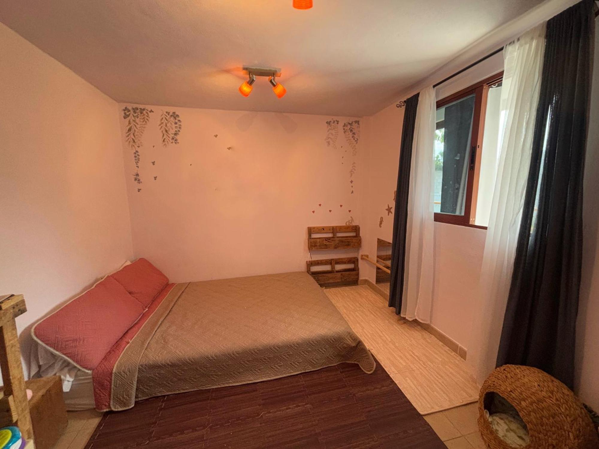 プエルト・モレロスCasa Piedroアパートメント エクステリア 写真